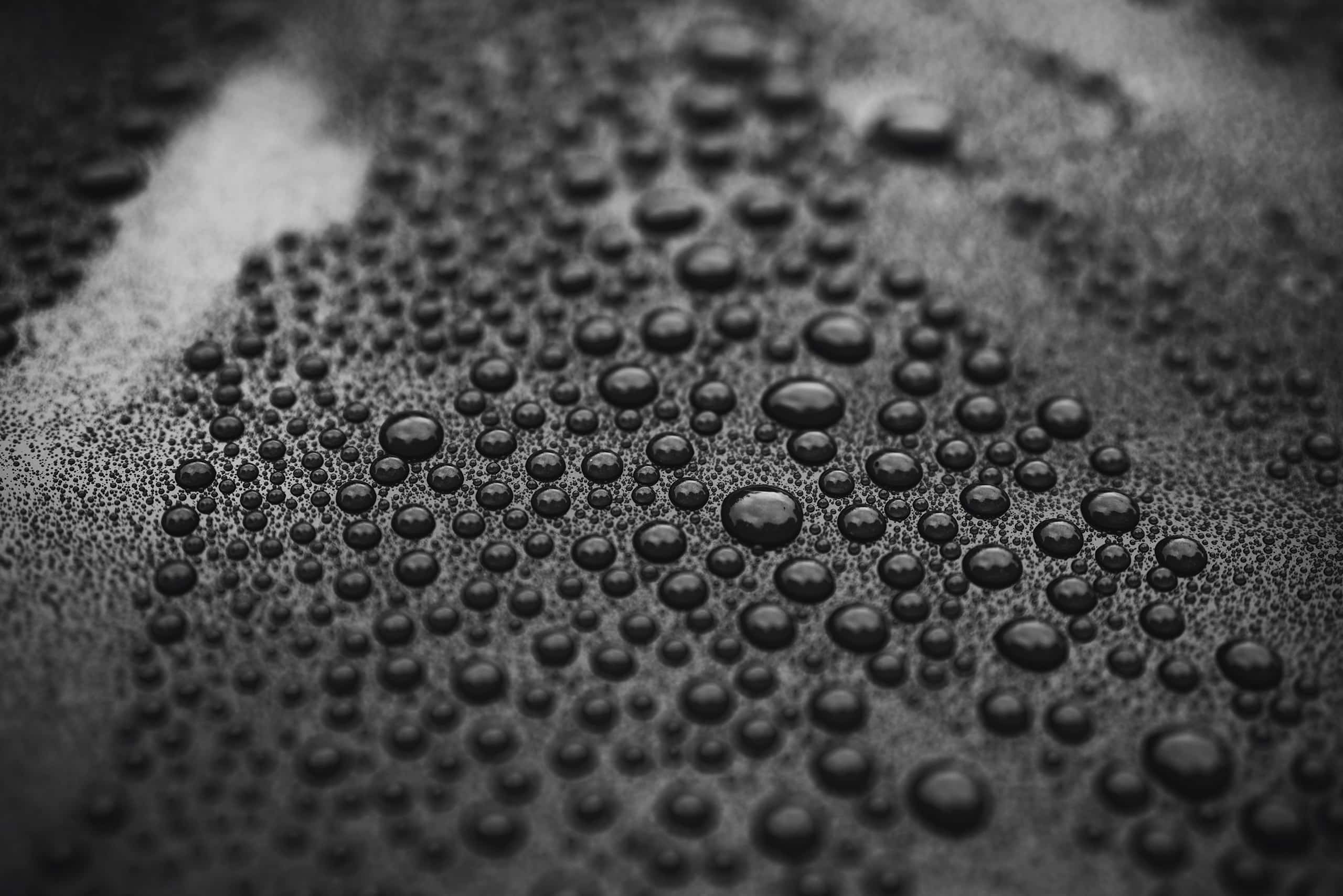 Closeup black car paint surface with hydrophobic ceramic coating, shallow focus